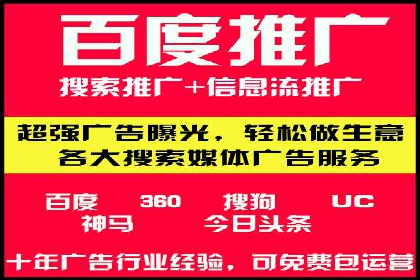 成功运用SEM服务实现品牌快速成长的案例
